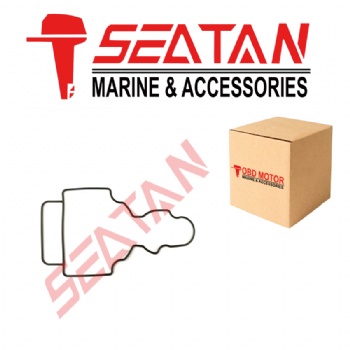 61N-45315-00 SEALING